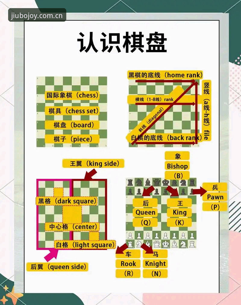 九博国际娱乐体验完整指南：从入门到精通的实用攻略